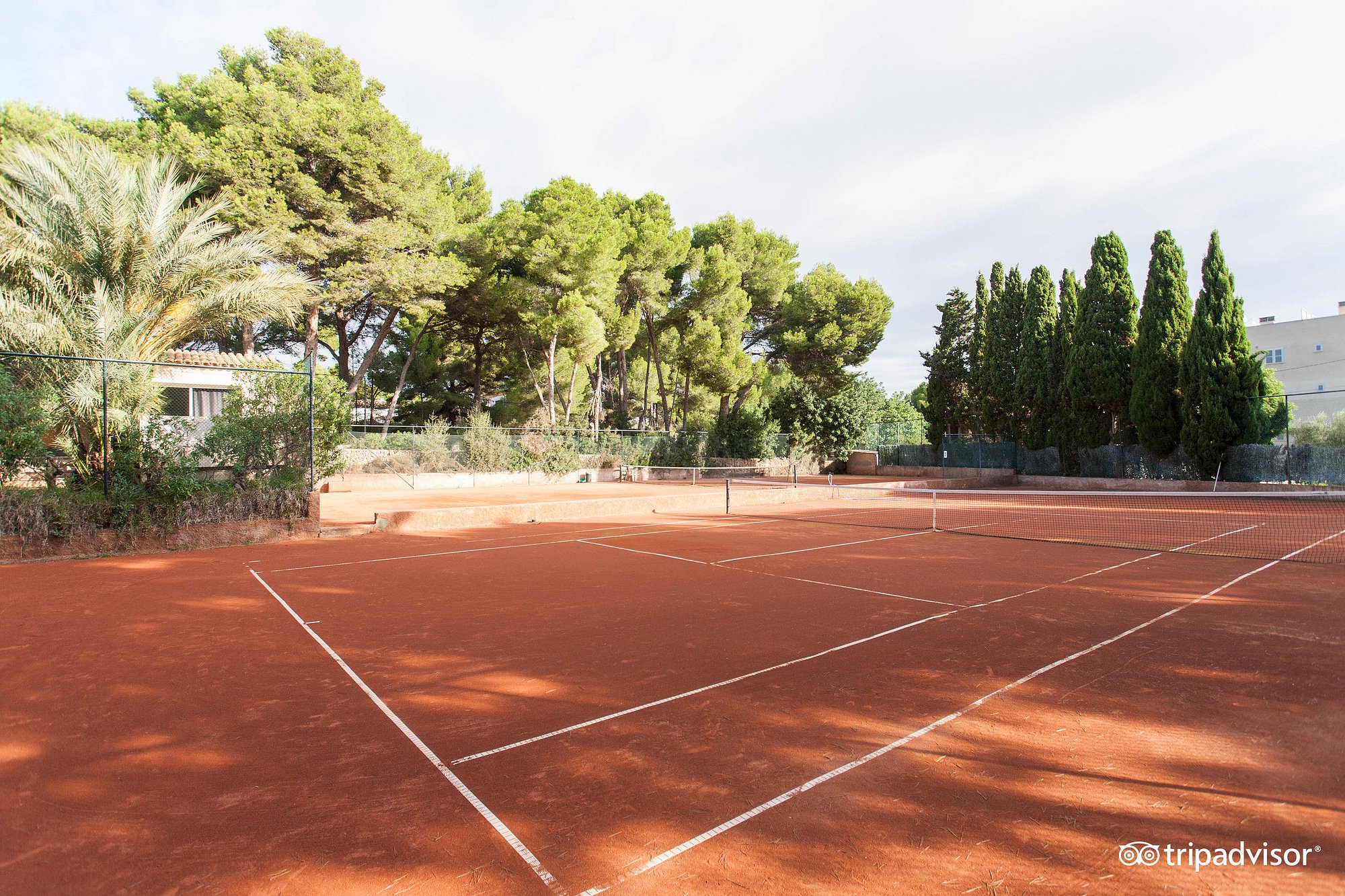 Tennis – Bild 5 von 6