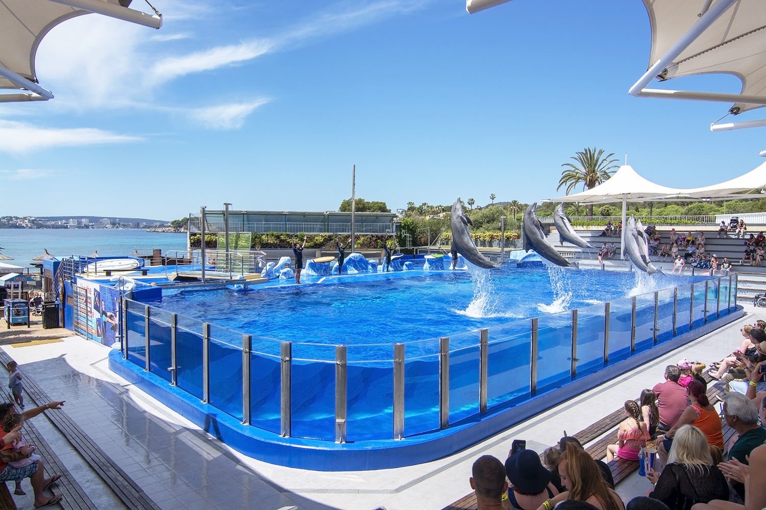 Marineland Mallorca – Bild 3 von 5