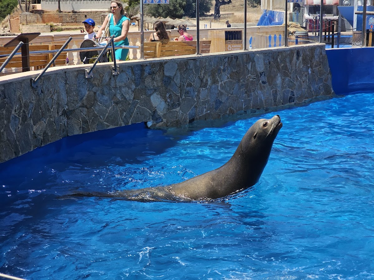 Marineland Mallorca – Bild 4 von 5