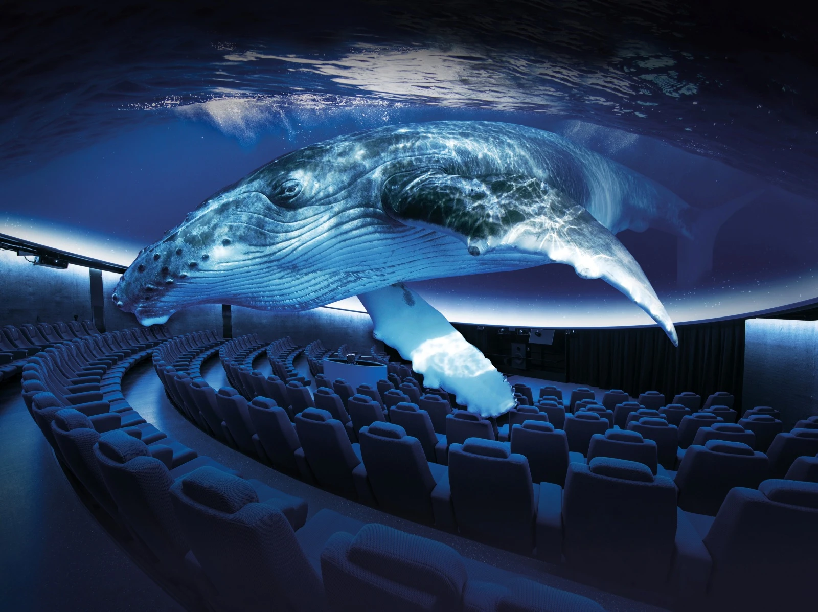 Palma Aquarium – Bild 2 von 5