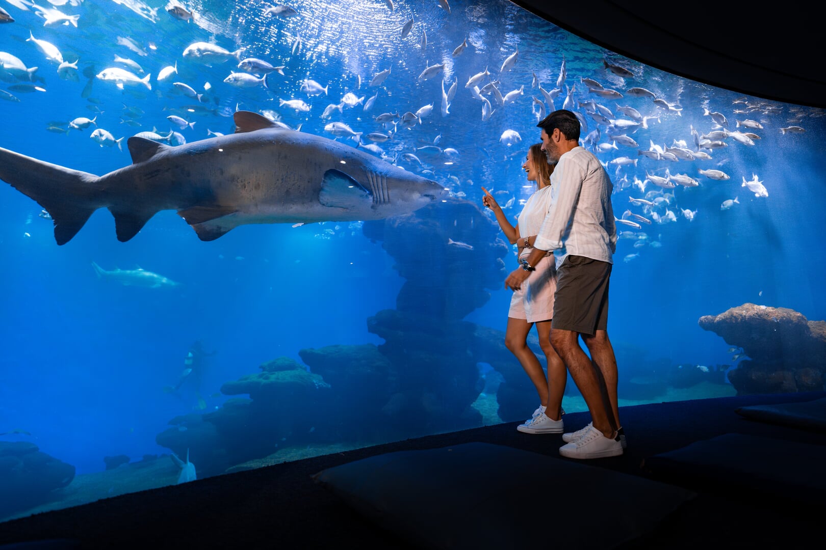 Palma Aquarium – Bild 3 von 5