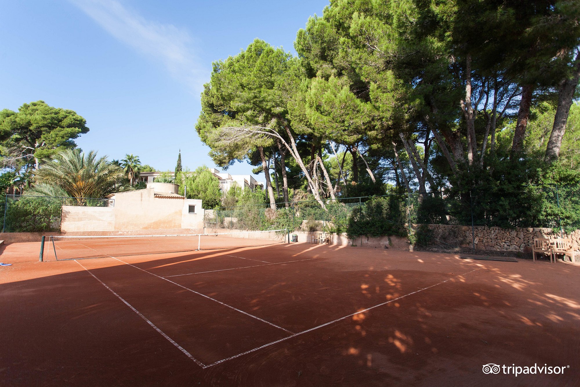 Tennis – Bild 2 von 6