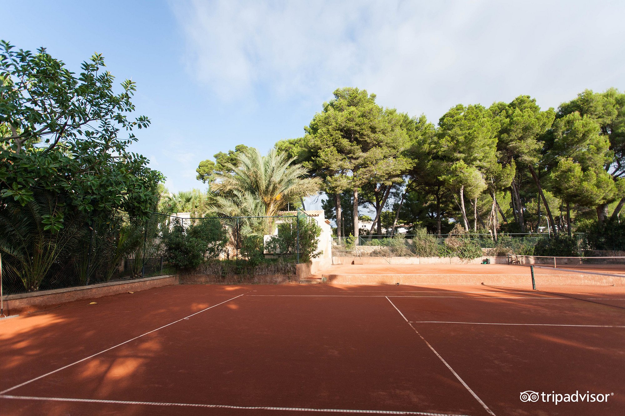 Tennis – Bild 6 von 6