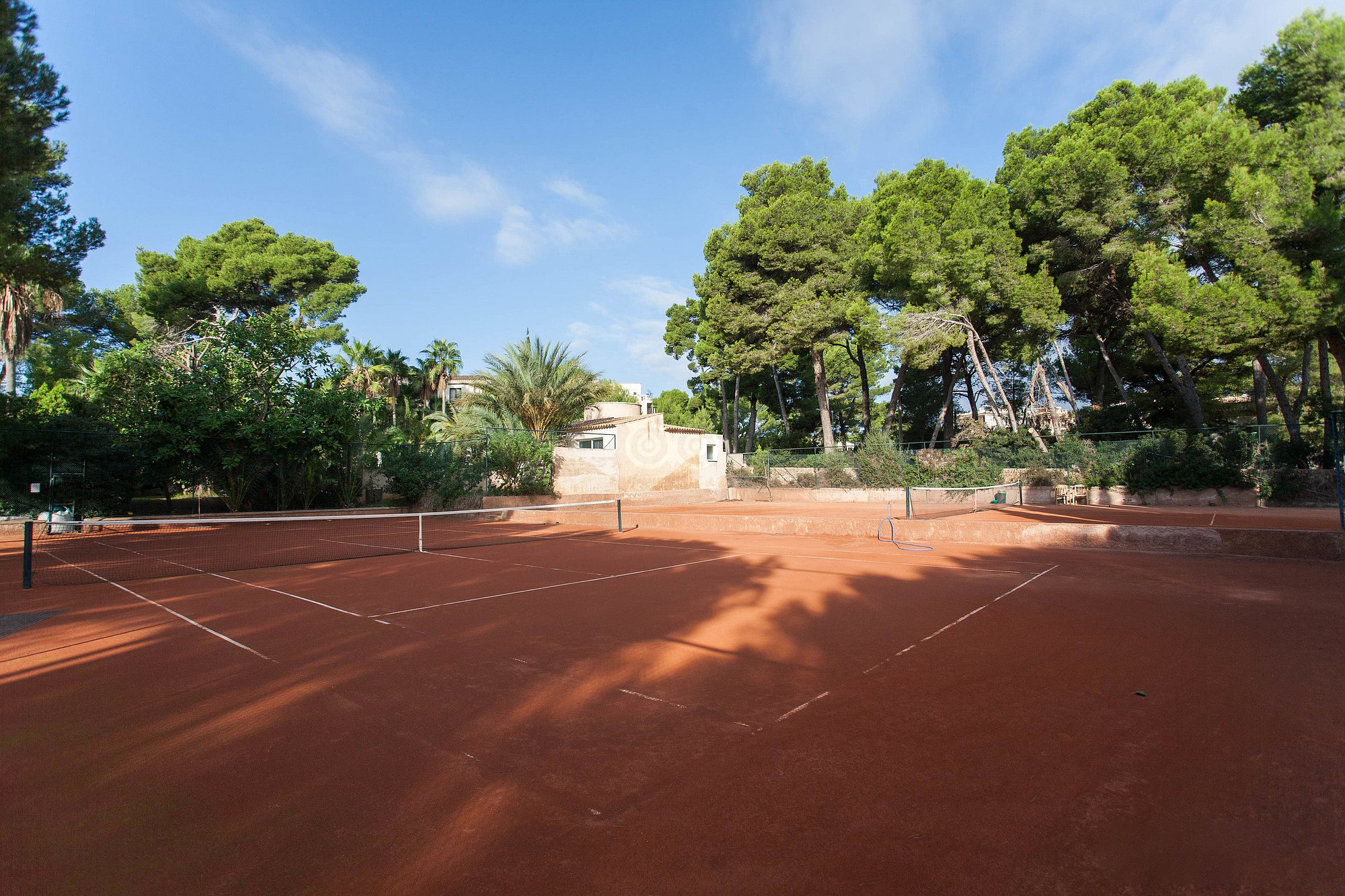 Tennis – Bild 3 von 6