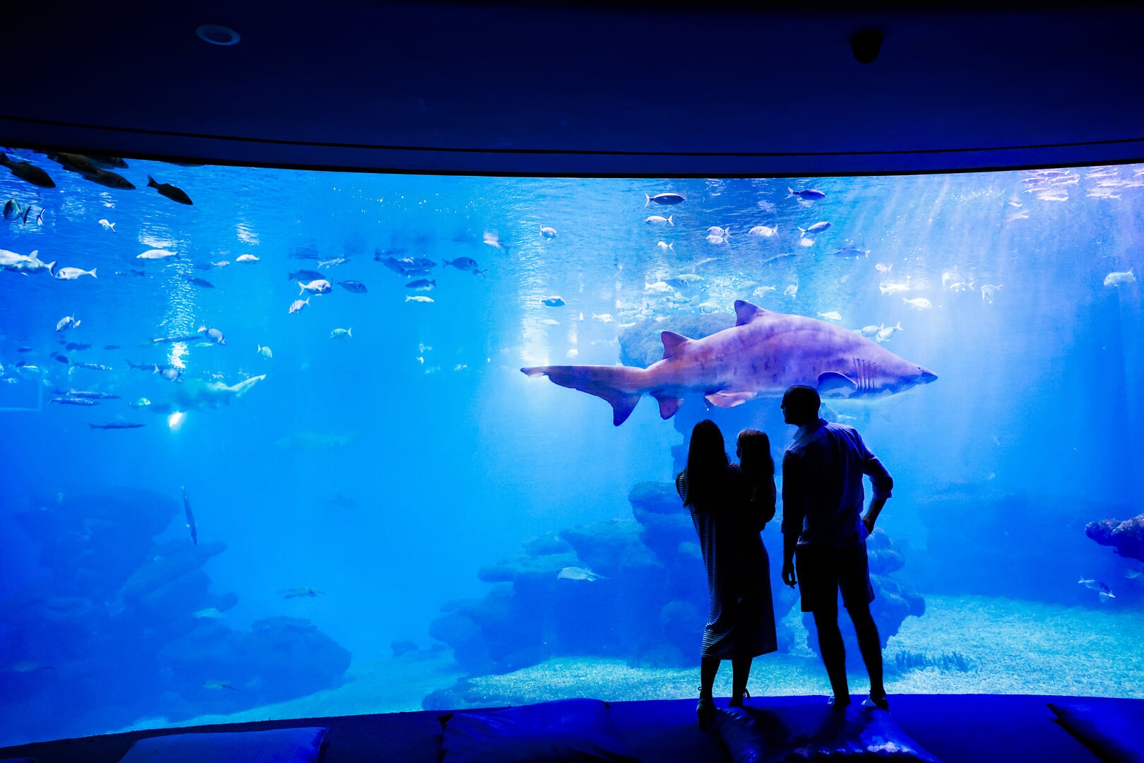 Palma Aquarium – Bild 4 von 5